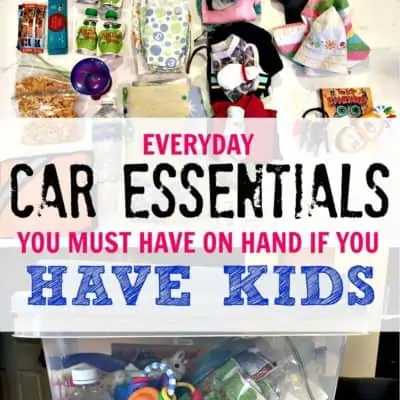 Car Essential Bin for Parents