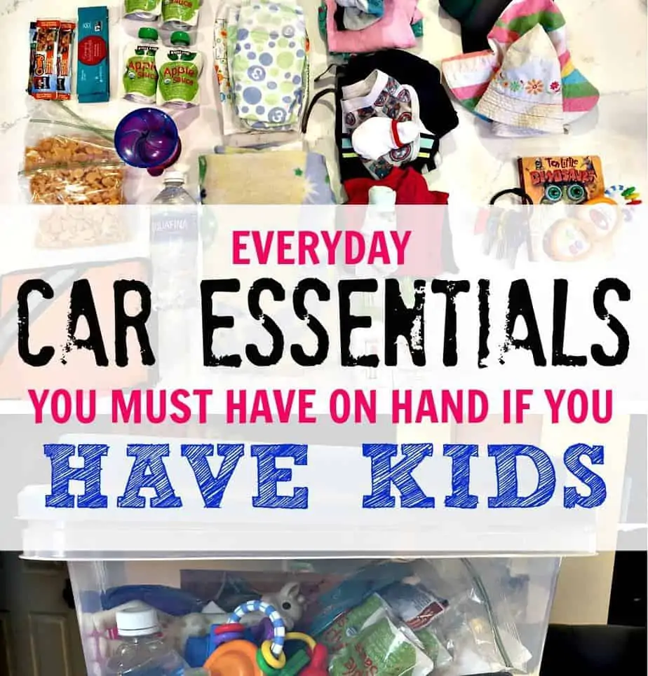 Car Essential Bin for Parents