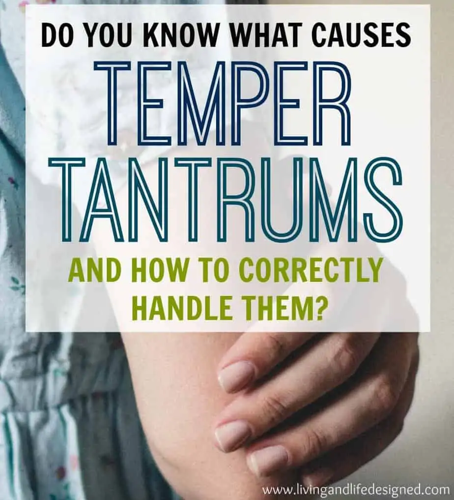 Understanding Why Temper Tantrums Happen & How to Handle Them