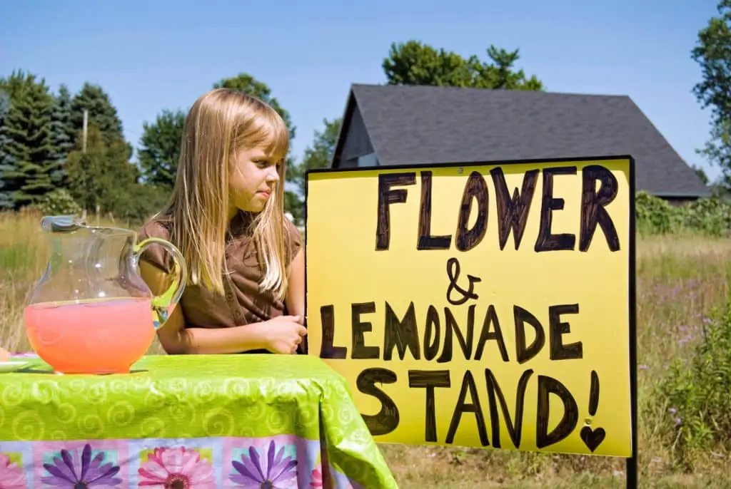 Lemonade Stand or Lemonade and flower stand. 