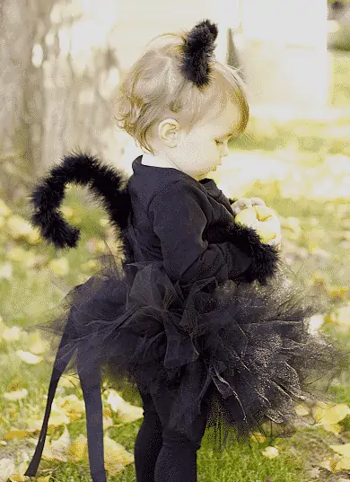 cat costume homemade halloween costumes you can make 