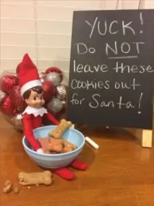 dog treats for santa and elf on the shelf
