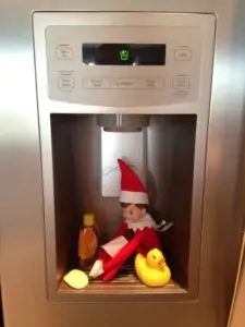 elf in the refrigerator