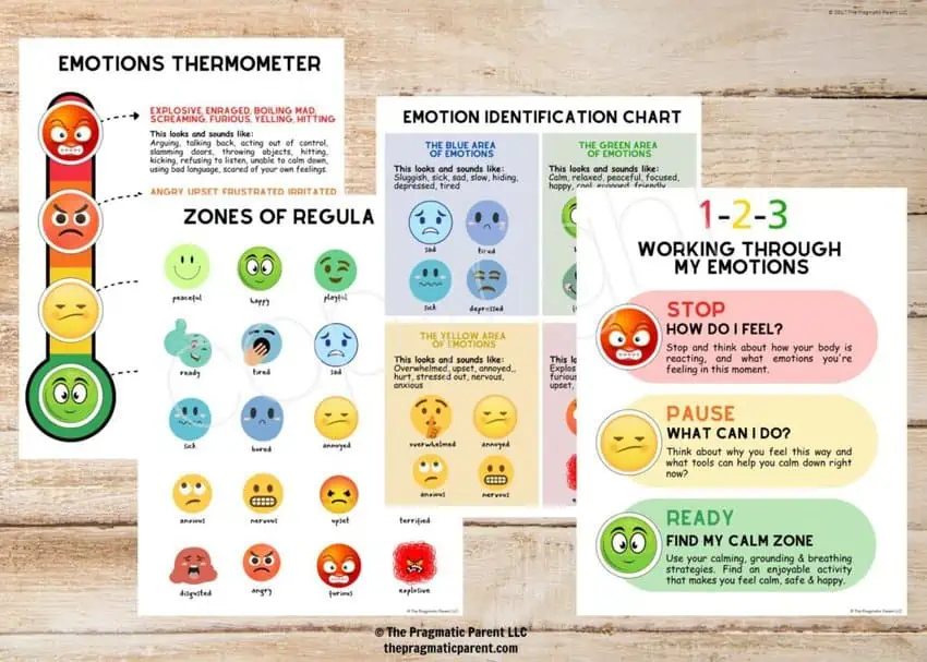 emotions identification