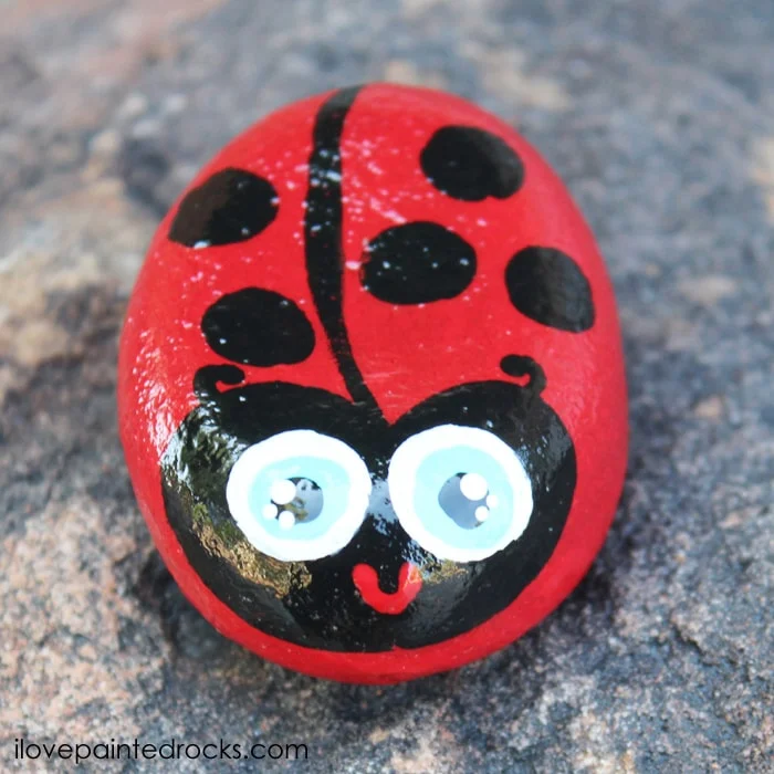 ladybug painted rock