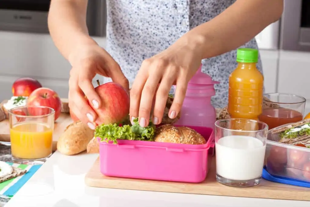 Kid's school lunch ideas. Healthy and nutritious lunch ideas your kids will love. Take the guess work out of planning, shopping and packing school lunches with the School Lunch Planner!  
