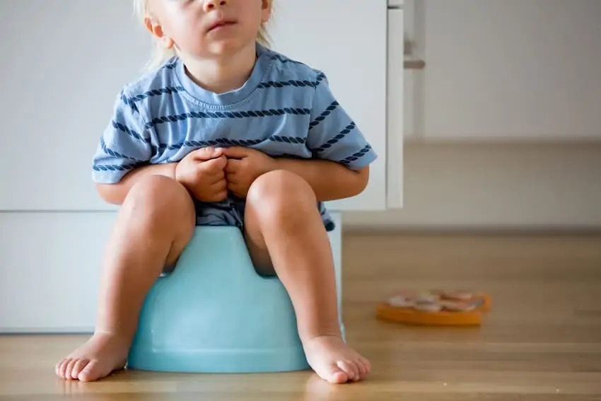 The Ultimate Guide For Potty Training